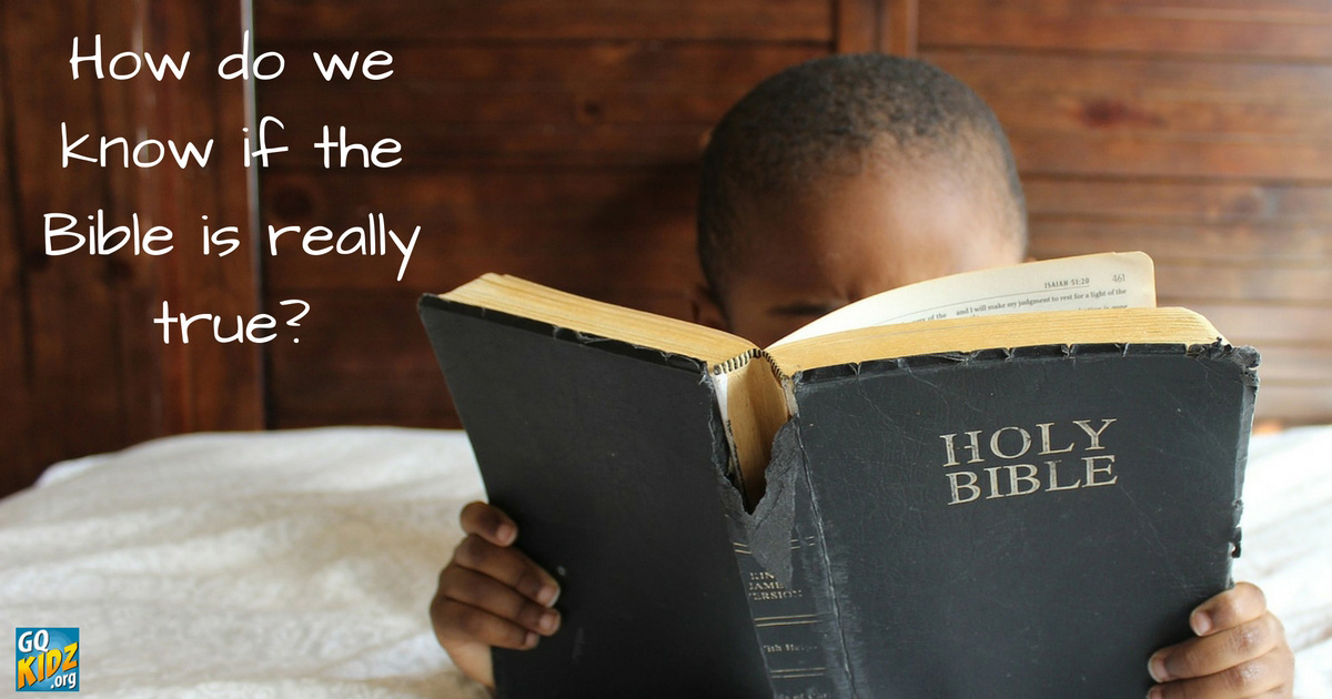 How do we know if the Bible is really true? Is the Bible really true?